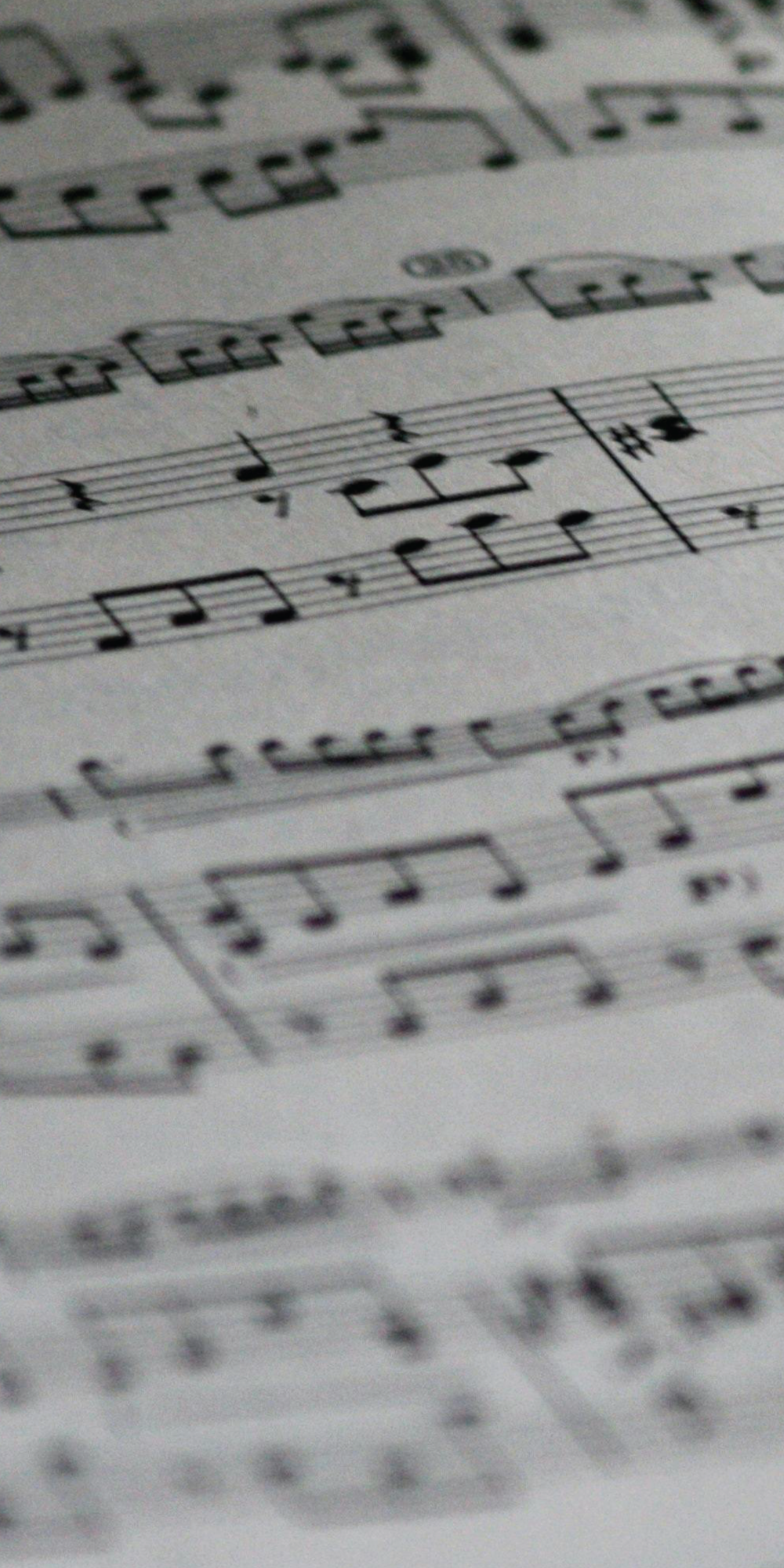Professional Songwriting